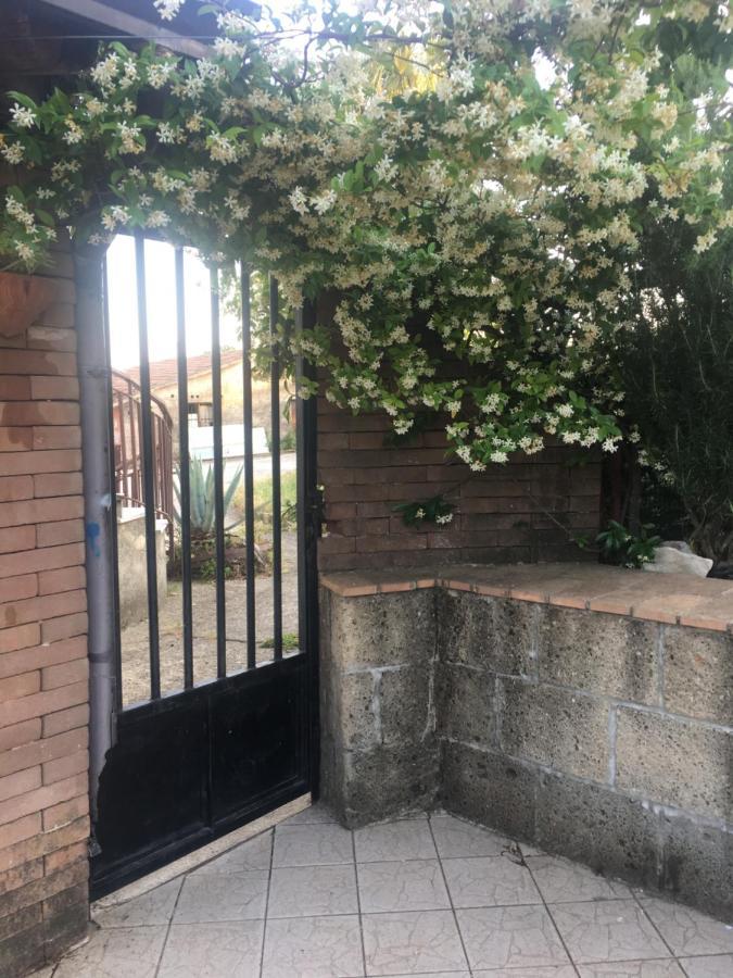 مبيت وإفطار كامبانيا A Casa Di Nonna Emilia المظهر الخارجي الصورة