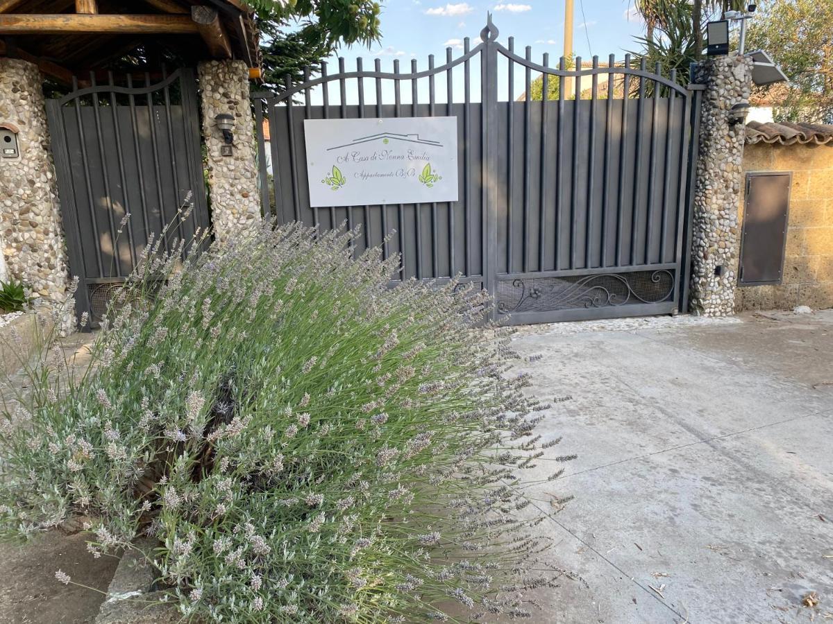 مبيت وإفطار كامبانيا A Casa Di Nonna Emilia المظهر الخارجي الصورة